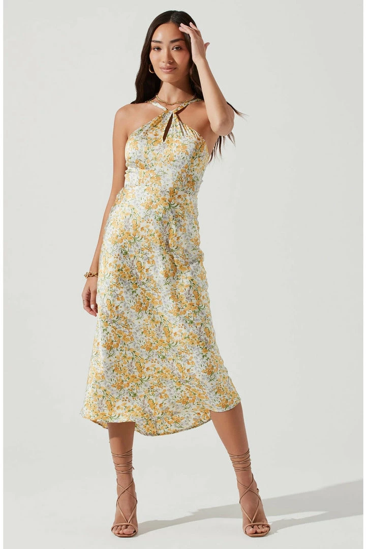ASTR The Label ASTR Sandrine Floral Halter Midi Dress Dresses 3 ASTR The Label ASTR Sandrine Floral Halter Midi Dress Dresses