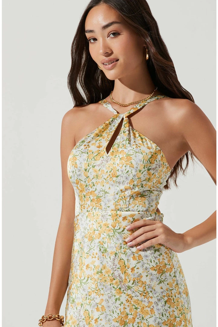 ASTR The Label ASTR Sandrine Floral Halter Midi Dress Dresses 5 ASTR The Label ASTR Sandrine Floral Halter Midi Dress Dresses