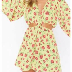 Show Me Your Mumu Christina Mini Dress Dresses