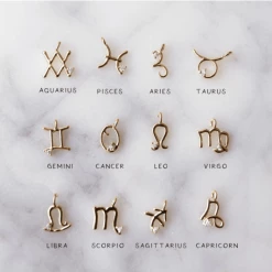 Wander + Lust Jewelry Zodiac Necklace 16"